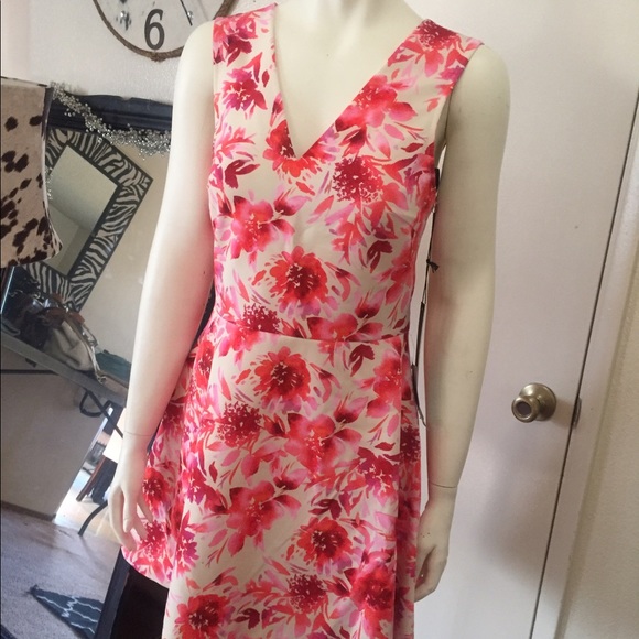 Felicity and coco new dress small size - Picture 1 of 6